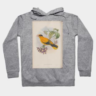 Oriel Hoodie